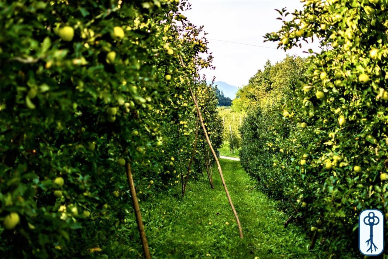 Willa Casa Vacanze Antico Eremo, Tra Natura E Tradizione Campodenno Zewnętrze zdjęcie